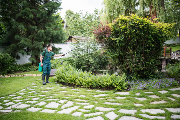 Best Commercial Pest Control Services  in Pueblo, CO
