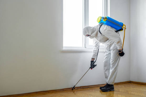 Best Affordable Pest Control Services  in Pueblo, CO