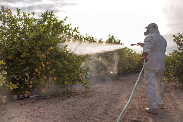 Reliable Pueblo, CO Pest Control Solutions