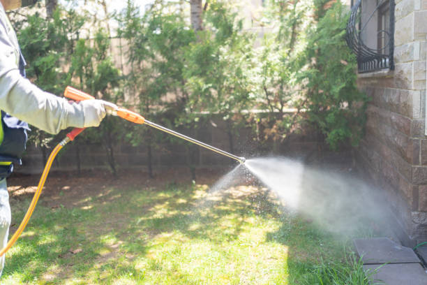 Best Pest Control for Homes  in Pueblo, CO