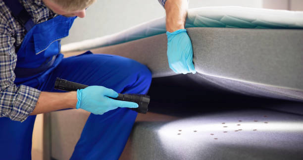 Best Exterminator Services  in Pueblo, CO