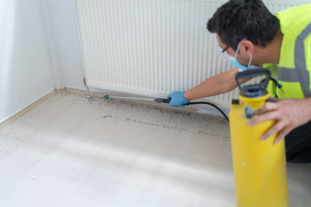 Best Termite Control Services  in Pueblo, CO